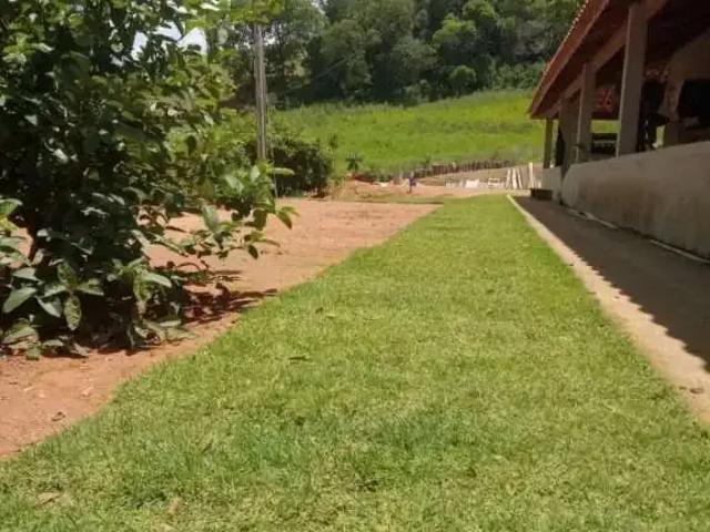 Sítio / Chácara para Venda em Toledo/MG Bairro dos Pereiras 4 Quartos