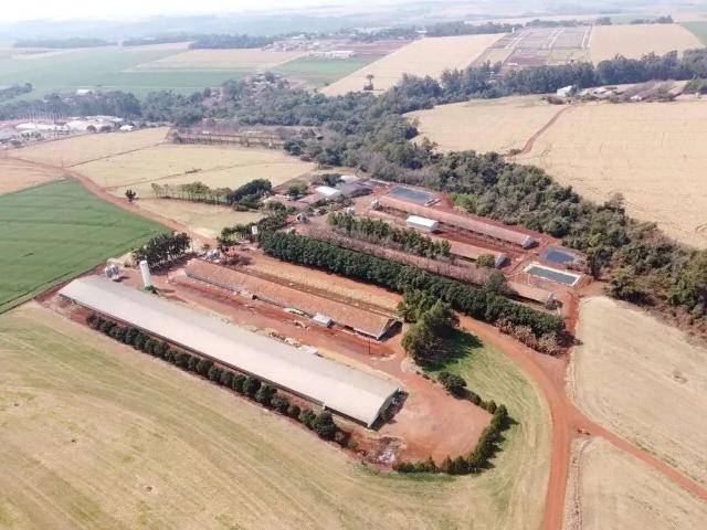 Sítio / Chácara para Venda em Toledo/PR Área Rural de Toledo 3 Quartos