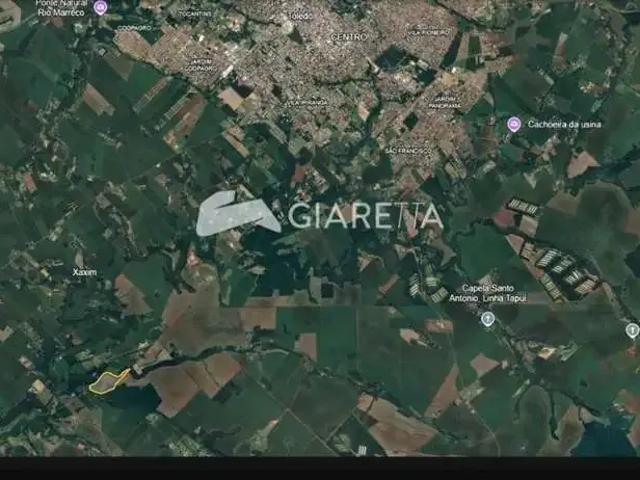 Sítio / Chácara para Venda em Toledo/PR Área Rural de Toledo