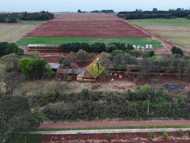 Sítio / Chácara para Venda em Toledo/PR Boa Vista