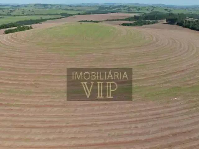 Sítio / Chácara para Venda em Tomazina/PR Zona Rural 1 Quartos