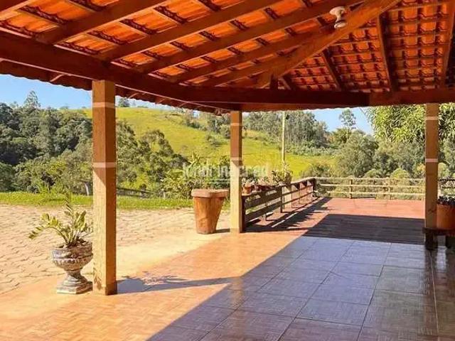 Sítio / Chácara para Venda em Tomazina/PR Zona Rural 4 Quartos