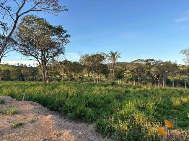 Sítio / Chácara para Venda em Torixoréu/MT Zona Rural