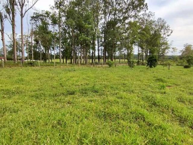 Sítio / Chácara para Venda em Torres/RS São Braz