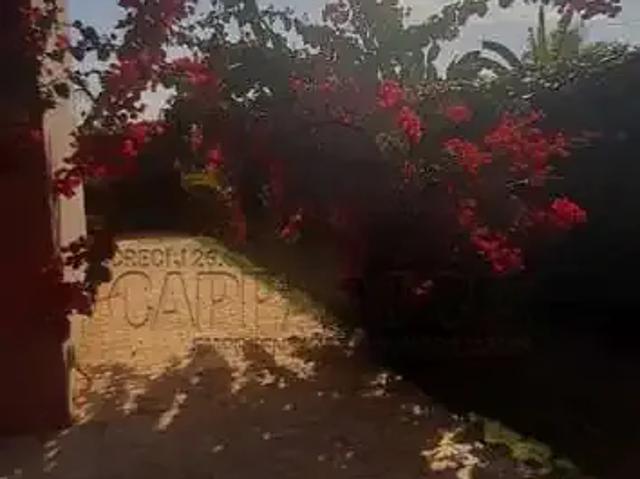 Sítio / Chácara para Venda em Tabapuã/SP Centro 2 Quartos