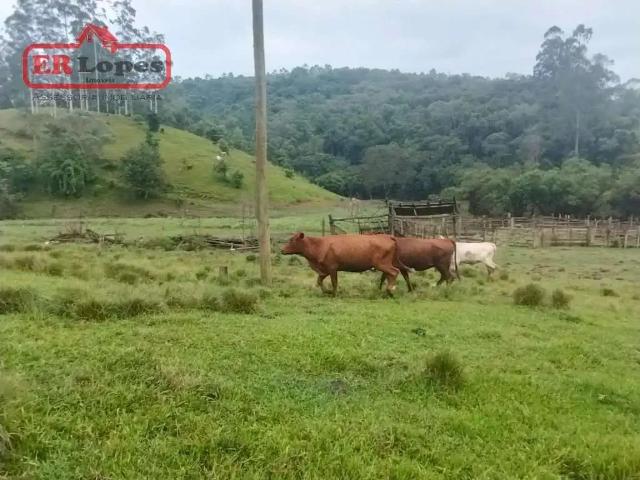 Sítio / Chácara para Venda em Taió/SC Centro 2 Quartos