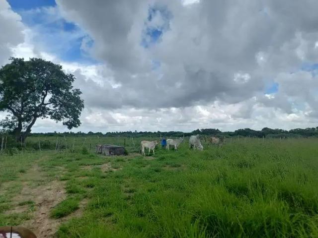 Sítio / Chácara para Venda em Taipu/RN Centro 3 Quartos