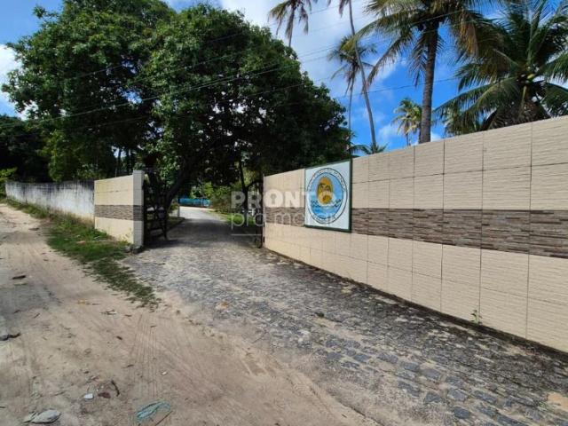 Sítio / Chácara para Venda em Tamandaré/PE Zona Rural 5 Quartos