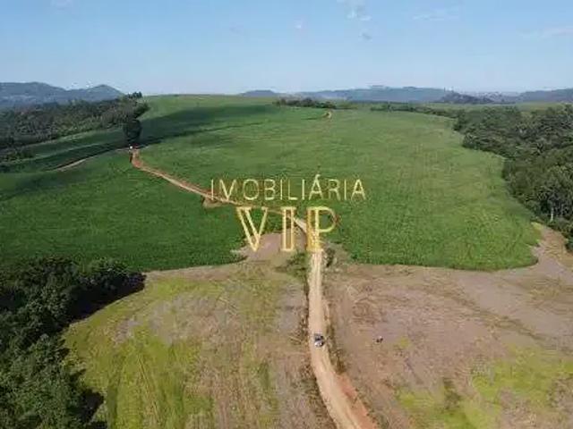 Sítio / Chácara para Venda em Tamarana/PR Zona Rural 1 Quartos