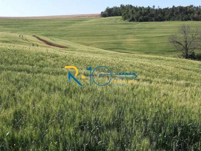 Sítio / Chácara para Venda em Tamarana/PR Zona Rural