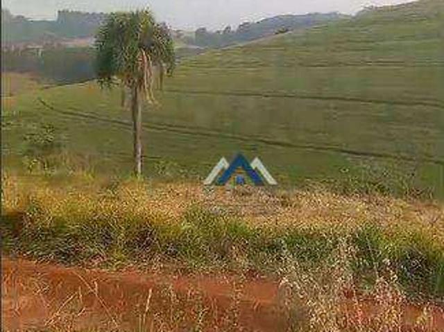 Sítio / Chácara para Venda em Tamarana/PR Zona Rural 3 Quartos