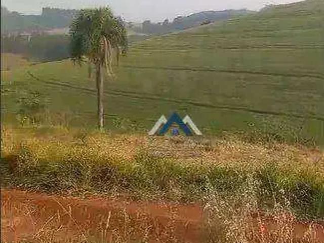 Sítio / Chácara para Venda em Tamarana/PR Zona Rural 3 Quartos
