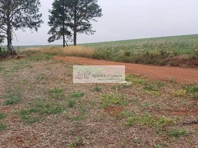 Sítio / Chácara para Venda em Tamarana/PR Zona Rural 3 Quartos