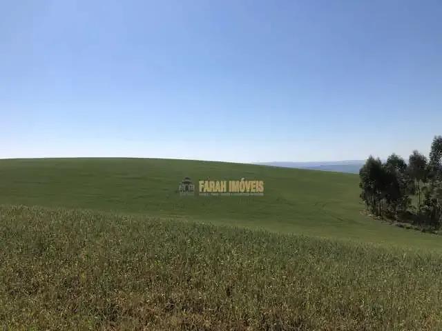 Sítio / Chácara para Venda em Tamarana/PR Zona Rural 3 Quartos