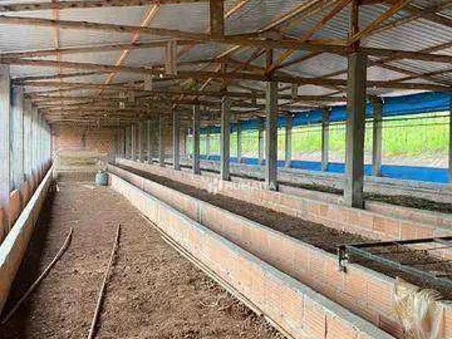 Sítio / Chácara para Venda em Tamarana/PR Zona Rural
