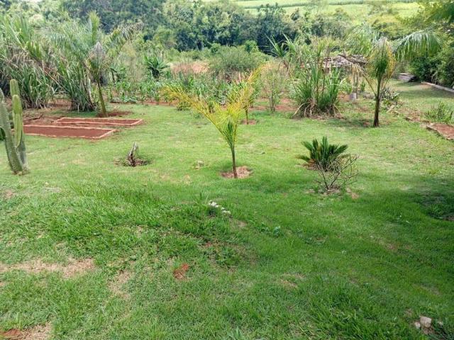 Sítio / Chácara para Venda em Tamarana/PR Zona Rural