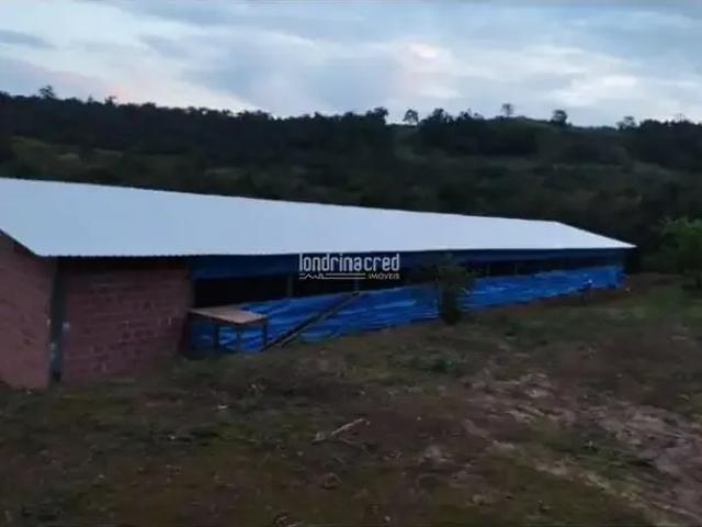Sítio / Chácara para Venda em Tamarana/PR Zona Rural