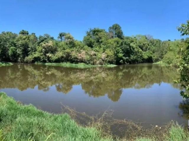 Sítio / Chácara para Venda em Tamarana/PR Zona Rural