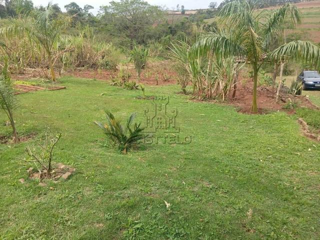 Sítio / Chácara para Venda em Tamarana/PR Zona Rural