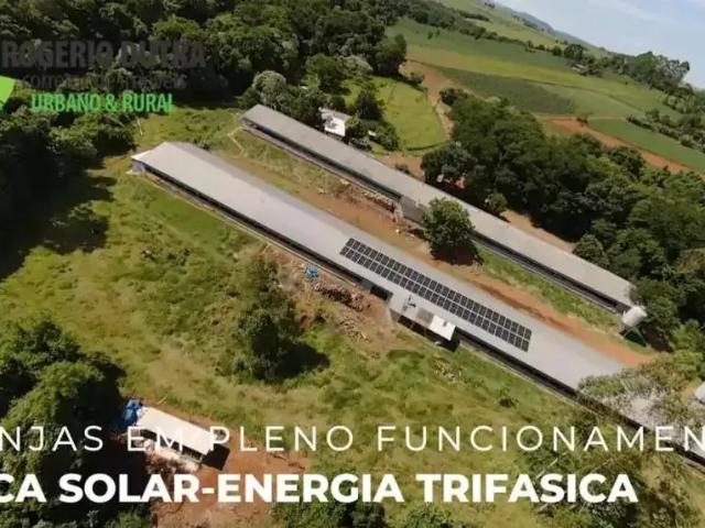 Sítio / Chácara para Venda em Tamarana/PR Zona Rural