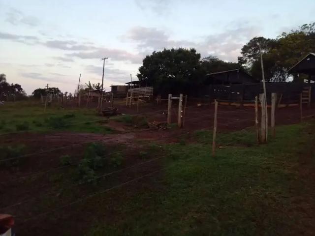 Sítio / Chácara para Venda em Tamarana/PR Centro 3 Quartos