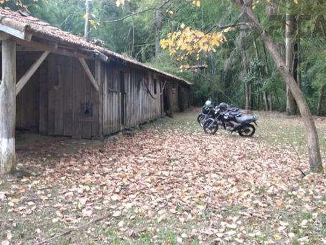 Sítio / Chácara para Venda em Tamarana/PR Centro 1 Quartos