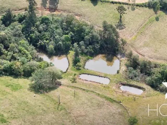 Sítio / Chácara para Venda em Tamarana/PR Zona Rural 5 Quartos