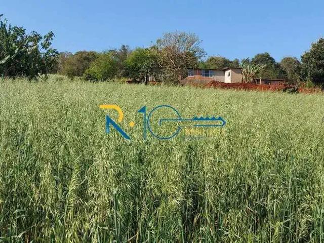 Sítio / Chácara para Venda em Tamarana/PR Lerroville