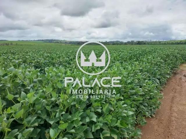 Sítio / Chácara para Venda em Tambaú/SP Zona Rural 1 Quartos