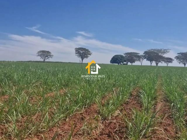 Sítio / Chácara para Venda em Tanabi/SP Zona Rural