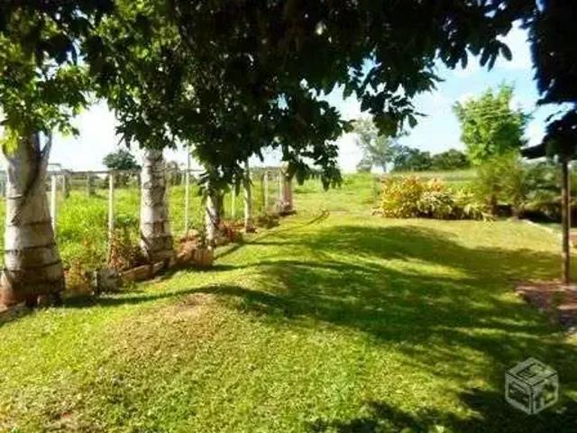 Sítio / Chácara para Venda em Tanabi/SP Zona Rural 3 Quartos
