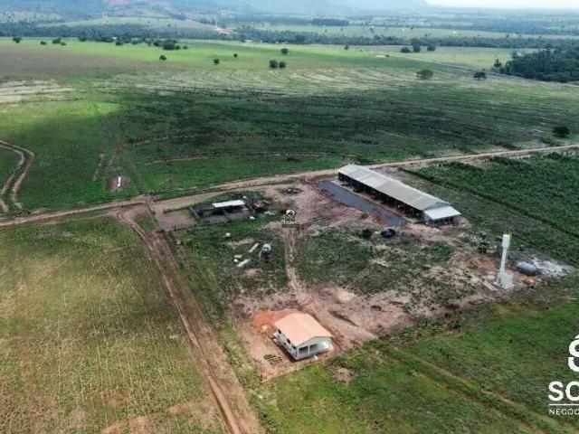 Sítio / Chácara para Venda em Tangará da Serra/MT Centro 3 Quartos