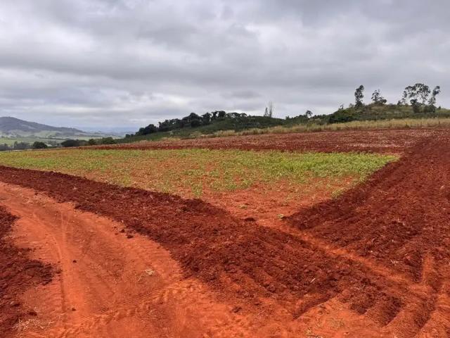 Sítio / Chácara para Venda em Tapiratiba/SP Zona Rural