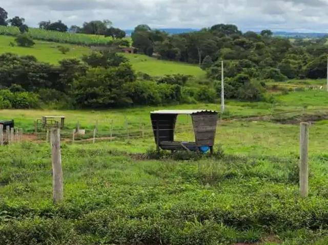 Sítio / Chácara para Venda em Taquaral de Goiás/GO Zona Rural