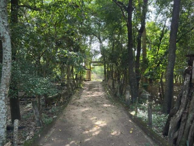 Sítio / Chácara para Venda em Taquaral/SP Área Rural de Taquaral 2 Quartos