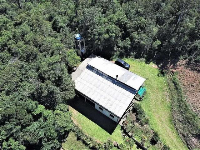 Sítio / Chácara para Venda em Taquara/RS Pega Fogo Distrito 6 Quartos