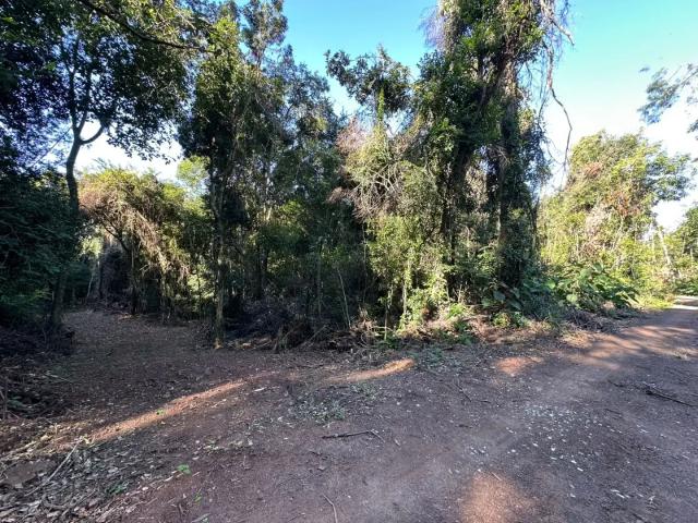 Sítio / Chácara para Venda em Taquara/RS Pega Fogo Distrito