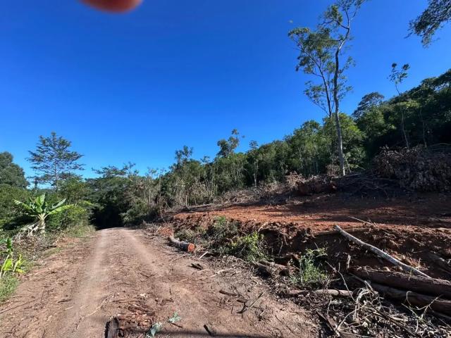 Sítio / Chácara para Venda em Taquara/RS Pega Fogo Distrito 1 Quartos