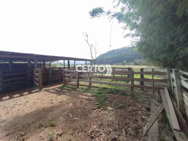 Sítio / Chácara para Venda em Taquara/RS Pega Fogo Distrito 2 Quartos