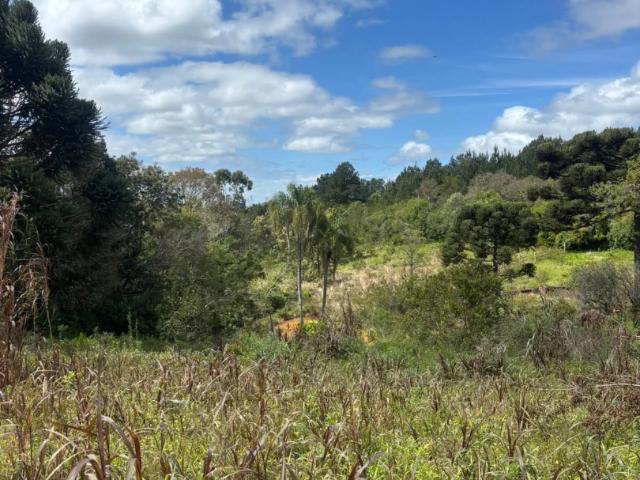 Sítio / Chácara para Venda em Taquara/RS Santa Cruz da Concórdia 2 Quartos