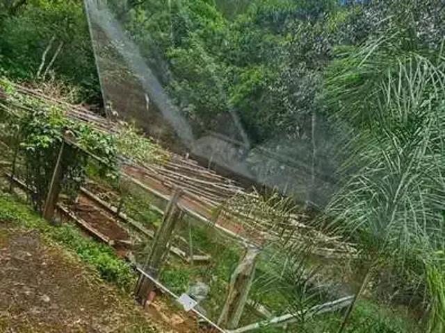 Sítio / Chácara para Venda em Taquara/RS Santa Cruz da Concórdia 3 Quartos