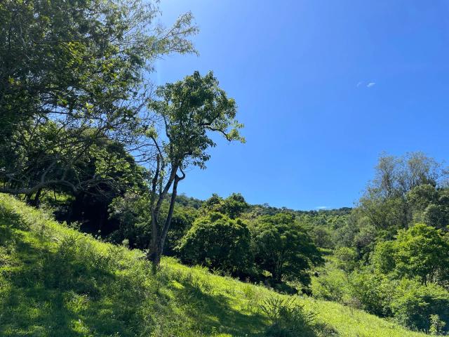 Sítio / Chácara para Venda em Taquara/RS Santa Rosa