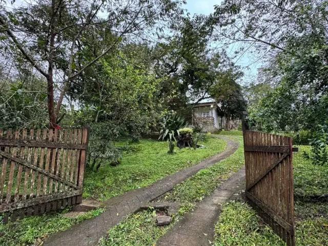 Sítio / Chácara para Venda em Taquara/RS Vila Machado Fazenda Fialho 1 Quartos