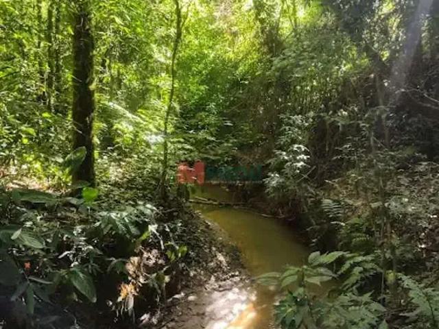 Sítio / Chácara para Venda em Teixeira Soares/PR Centro 1 Quartos
