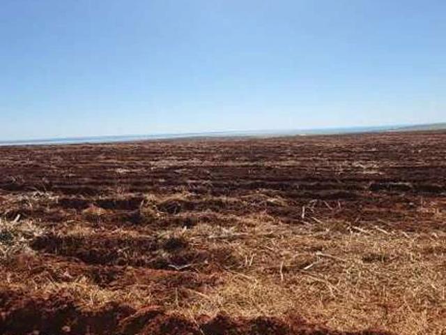 Sítio / Chácara para Venda em Teodoro Sampaio/SP Área Rural de Teodoro Sampaio