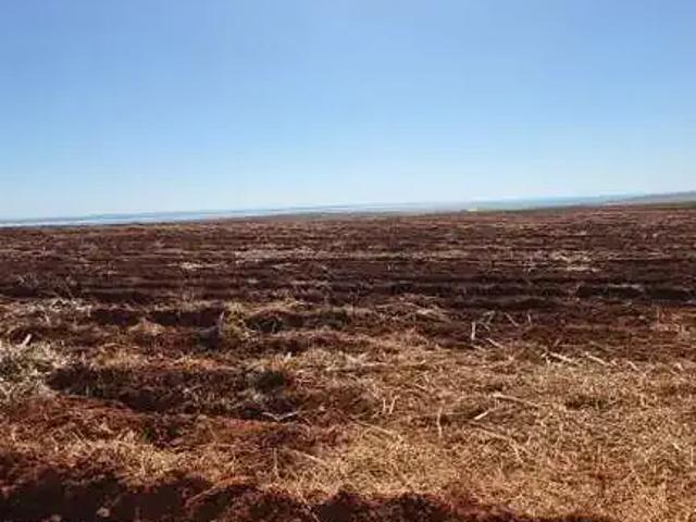 Sítio / Chácara para Venda em Teodoro Sampaio/SP Área Rural de Teodoro Sampaio