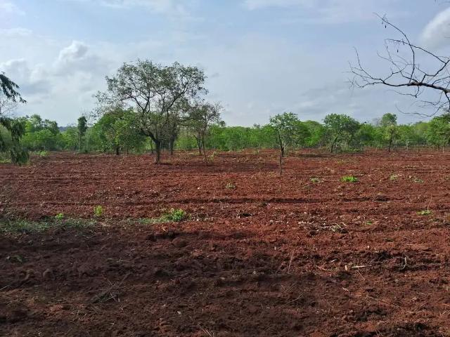 Sítio / Chácara para Venda em Terenos/MS Centro