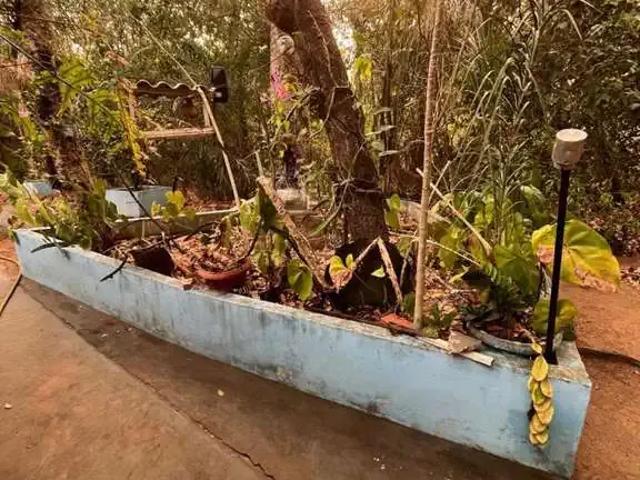 Sítio / Chácara para Venda em Terenos/MS Centro 5 Quartos
