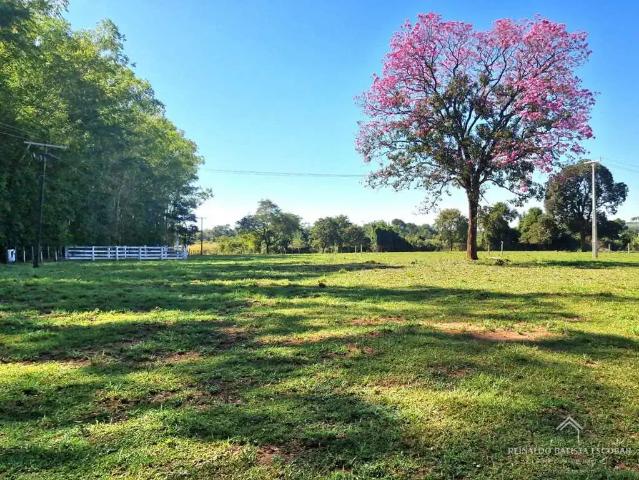 Sítio / Chácara para Venda em Terenos/MS Zona Rural 3 Quartos