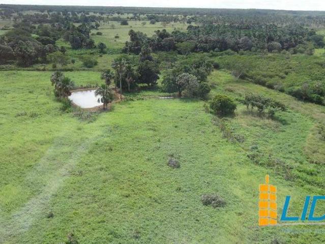 Sítio / Chácara para Venda em Teresina/PI Área Rural de Teresina